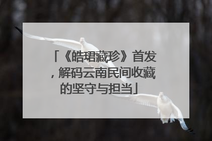 《皓珺藏珍》首发，解码云南民间收藏的坚守与担当