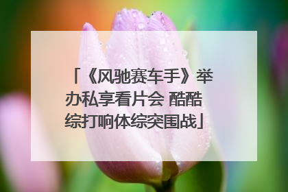 《风驰赛车手》举办私享看片会 酷酷综打响体综突围战