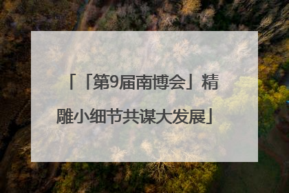 「第9届南博会」精雕小细节共谋大发展