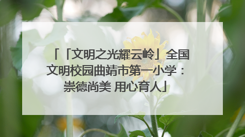 「文明之光耀云岭」全国文明校园曲靖市第一小学：崇德尚美 用心育人