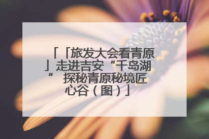 「旅发大会看青原」走进吉安“千岛湖” 探秘青原秘境匠心谷（图）