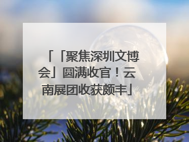 「聚焦深圳文博会」圆满收官！云南展团收获颇丰