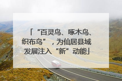 “百灵鸟、啄木鸟、织布鸟”，为仙居县域发展注入“新”动能