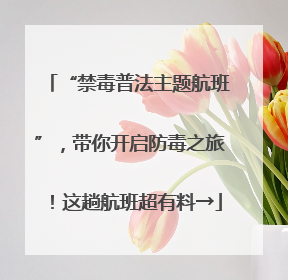 “禁毒普法主题航班”，带你开启防毒之旅！这趟航班超有料→
