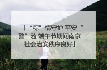 “粽”情守护 平安“警”随 端午节期间南京社会治安秩序良好