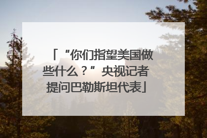 “你们指望美国做些什么？”央视记者提问巴勒斯坦代表