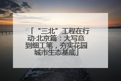 “三北”工程在行动·北京篇：大写意到细工笔，夯实花园城市生态基底