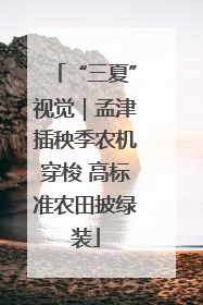 “三夏”视觉｜孟津插秧季农机穿梭 高标准农田披绿装