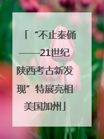 “不止秦俑——21世纪陕西考古新发现”特展亮相美国加州
