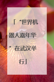 “世界机器人嘉年华”在武汉举行