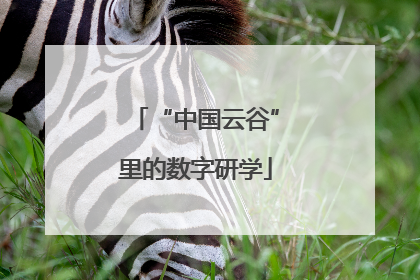 “中国云谷”里的数字研学