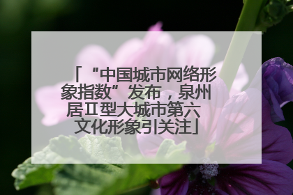 “中国城市网络形象指数”发布，泉州居Ⅱ型大城市第六 文化形象引关注