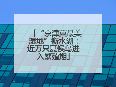 “京津冀最美湿地”衡水湖：近万只夏候鸟进入繁殖期