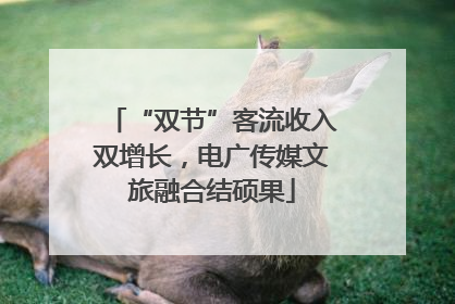 “双节”客流收入双增长，电广传媒文旅融合结硕果