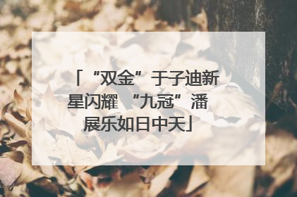 “双金”于子迪新星闪耀 “九冠”潘展乐如日中天