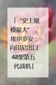 “史上规模最大”，埃尔多安：向印尼出口48架第五代战机