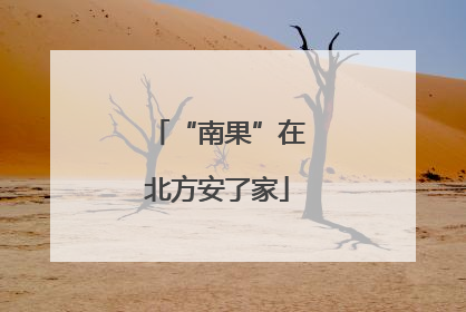 “南果”在北方安了家