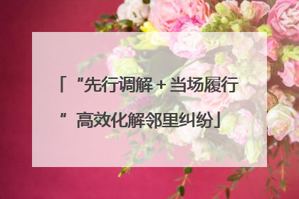 “先行调解＋当场履行”高效化解邻里纠纷