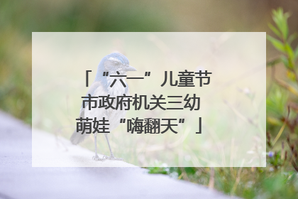 “六一”儿童节 市政府机关三幼萌娃“嗨翻天”