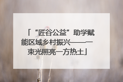“匠谷公益”助学赋能区域乡村振兴——一束光照亮一方热土
