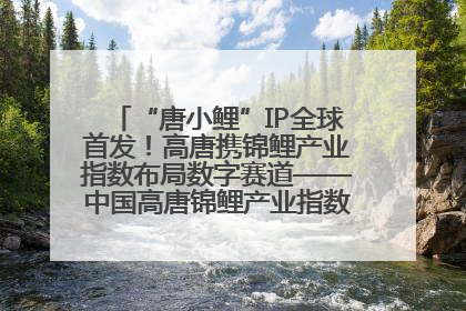 “唐小鲤”IP全球首发！高唐携锦鲤产业指数布局数字赛道——中国高唐锦鲤产业指数暨“唐小鲤”IP全球首发仪式在杭州举行