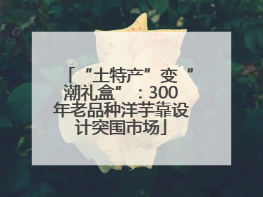 “土特产”变“潮礼盒”：300年老品种洋芋靠设计突围市场