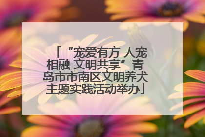 “宠爱有方 人宠相融 文明共享”青岛市市南区文明养犬主题实践活动举办
