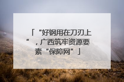 “好钢用在刀刃上”，广西筑牢资源要素“保障网”