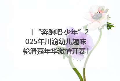 “奔跑吧·少年”2025年川渝幼儿趣味轮滑嘉年华激情开赛