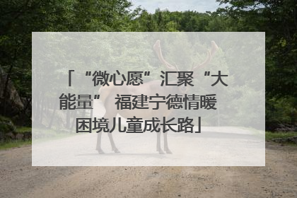 “微心愿”汇聚“大能量” 福建宁德情暖困境儿童成长路
