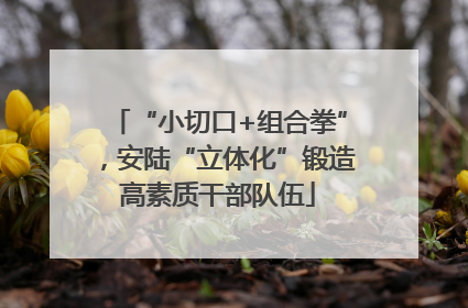 “小切口+组合拳”，安陆“立体化”锻造高素质干部队伍