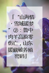 “山海情・雪域援梦”②：鲁中肉羊高原零伤亡，山东援藏破养殖密码