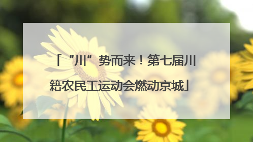 “川”势而来！第七届川籍农民工运动会燃动京城