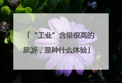 “工业”含量很高的旅游，是种什么体验