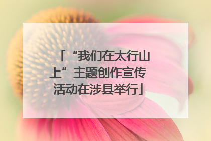 “我们在太行山上”主题创作宣传活动在涉县举行