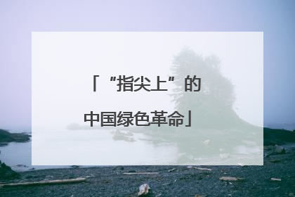 “指尖上”的中国绿色革命