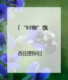 “村咖”飘香田野间