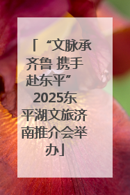 “文脉承齐鲁 携手赴东平” 2025东平湖文旅济南推介会举办