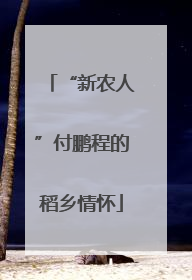 “新农人”付鹏程的稻乡情怀