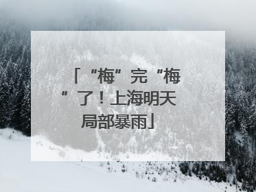 “梅”完“梅”了！上海明天局部暴雨