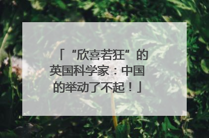 “欣喜若狂”的英国科学家：中国的举动了不起！