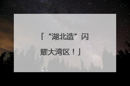 “湖北造”闪耀大湾区！
