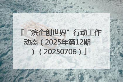 “滨企创世界”行动工作动态（2025年第12期）（20250706）