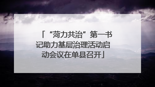 “菏力共治”第一书记助力基层治理活动启动会议在单县召开