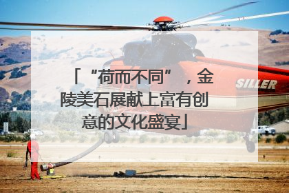 “荷而不同”，金陵美石展献上富有创意的文化盛宴