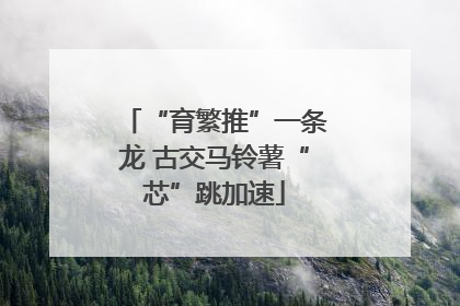 “育繁推”一条龙 古交马铃薯“芯”跳加速