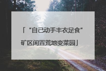“自己动手丰衣足食”矿区闲置荒地变菜园