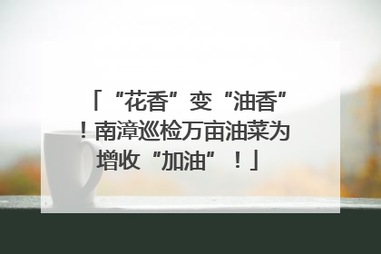 “花香”变“油香”！南漳巡检万亩油菜为增收“加油”！