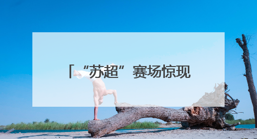 “苏超”赛场惊现 “空中应援”！扬州球迷企业家驾驶飞机花式打call