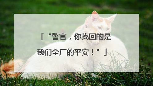 “警官，你找回的是我们全厂的平安！”